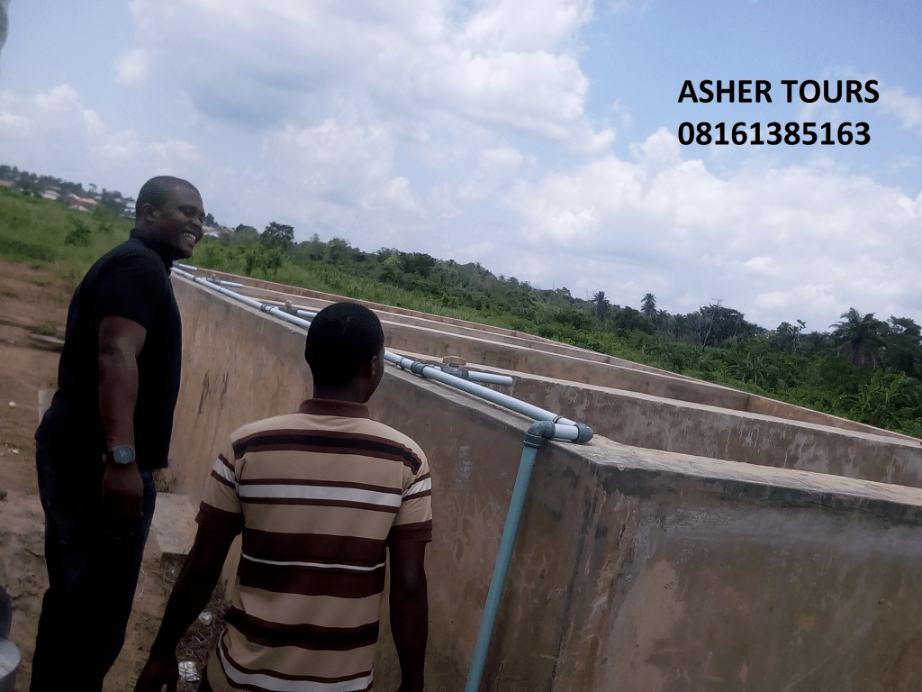 How to Calculate the FCR of your Fishes.