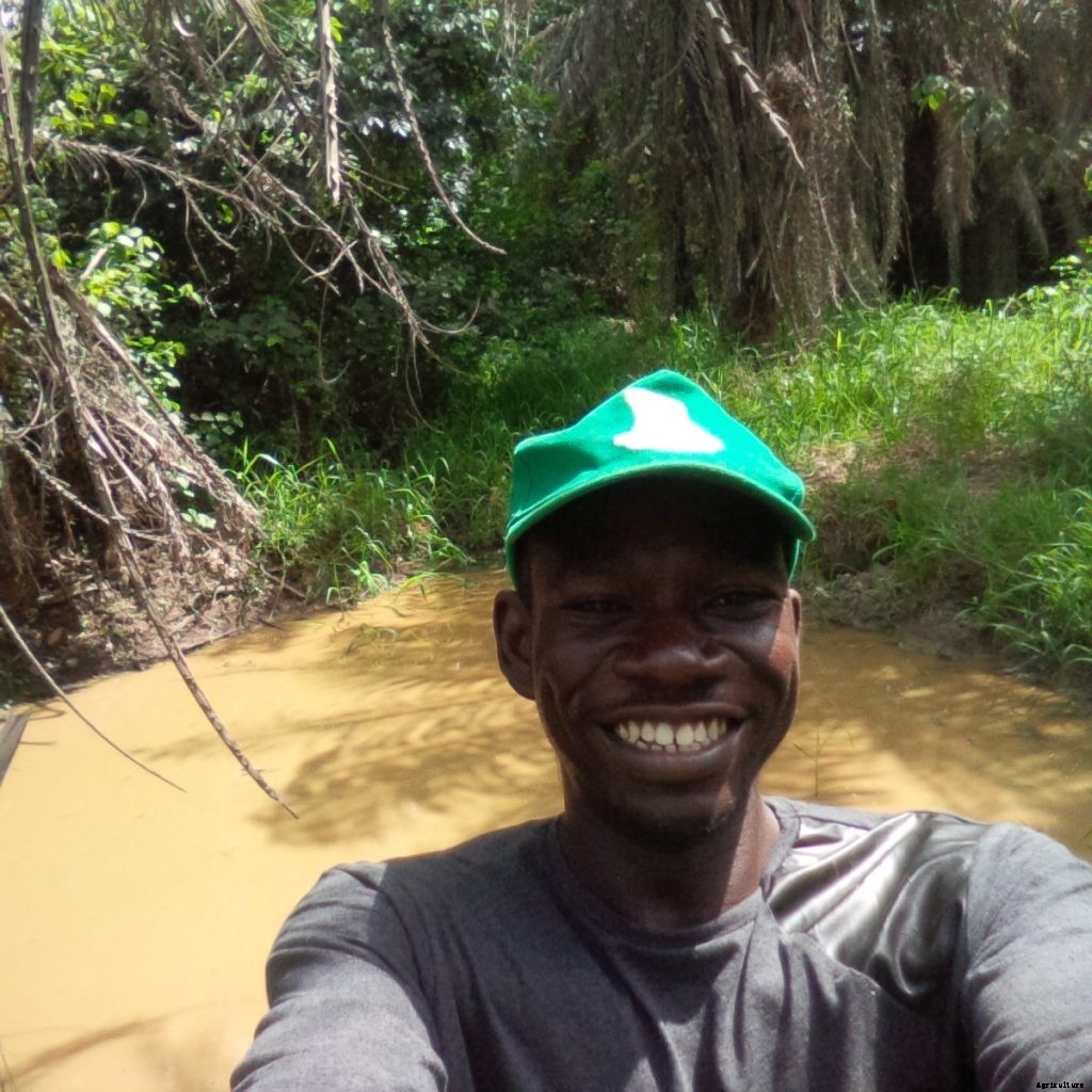 Seven Reasons why Fish Farms Fail in Nigeria.