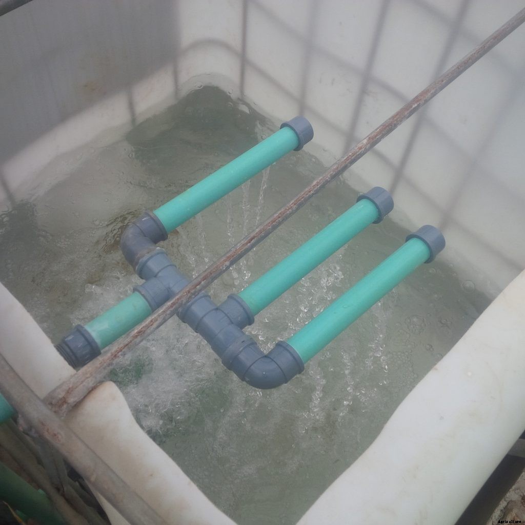 How much does it cost to grow catfish in Nigeria?