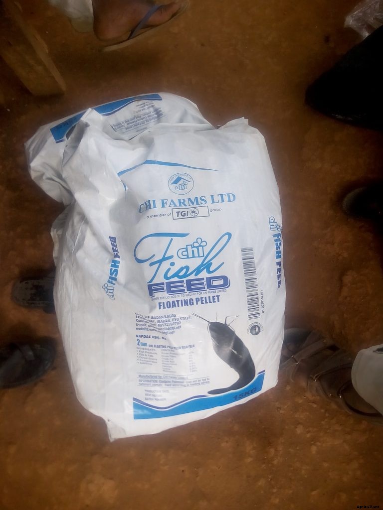 How much does it cost to grow catfish in Nigeria?