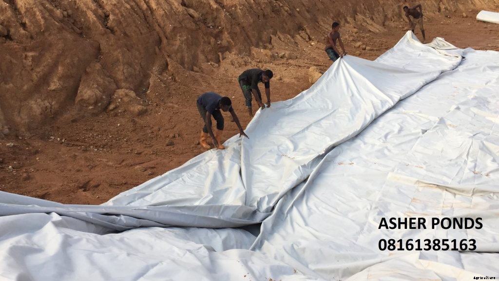 How to line your pond with tarpaulin in Nigeria.