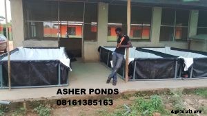 Price of Tarpaulin Fish Ponds in Nigeria.   