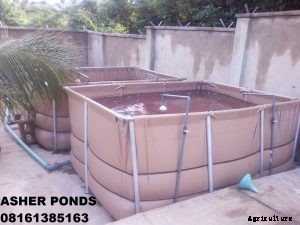 The best Collapsible fish ponds in Nigeria