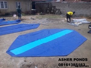 Identifying the best Tarpaulin Fish Ponds in Nigeria