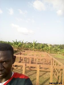 Identifying the best Tarpaulin Fish Ponds in Nigeria