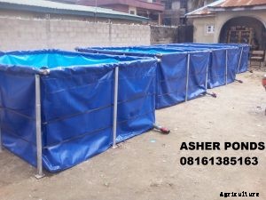 Identifying the best Tarpaulin Fish Ponds in Nigeria