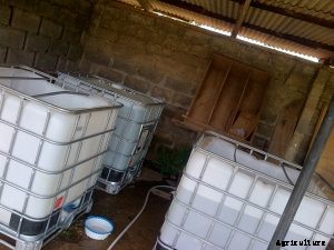 How To Know the Number of Fishes A Pond Can Take?