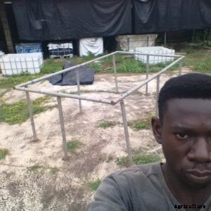 Getting the Best from your Mobile Fish Ponds