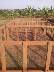 Getting the Best from your Mobile Fish Ponds