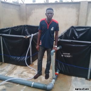 Getting the Best from your Mobile Fish Ponds