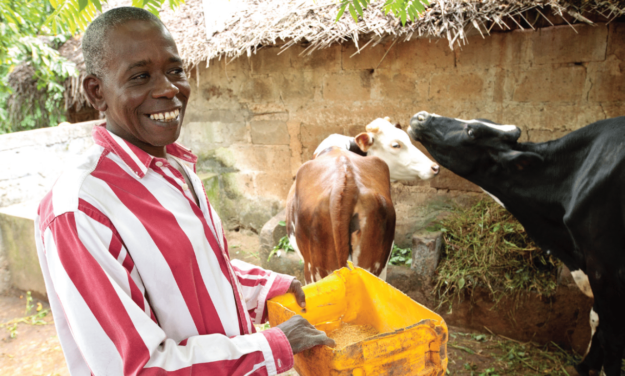How to take a dairy farming loan, and what you need to know.