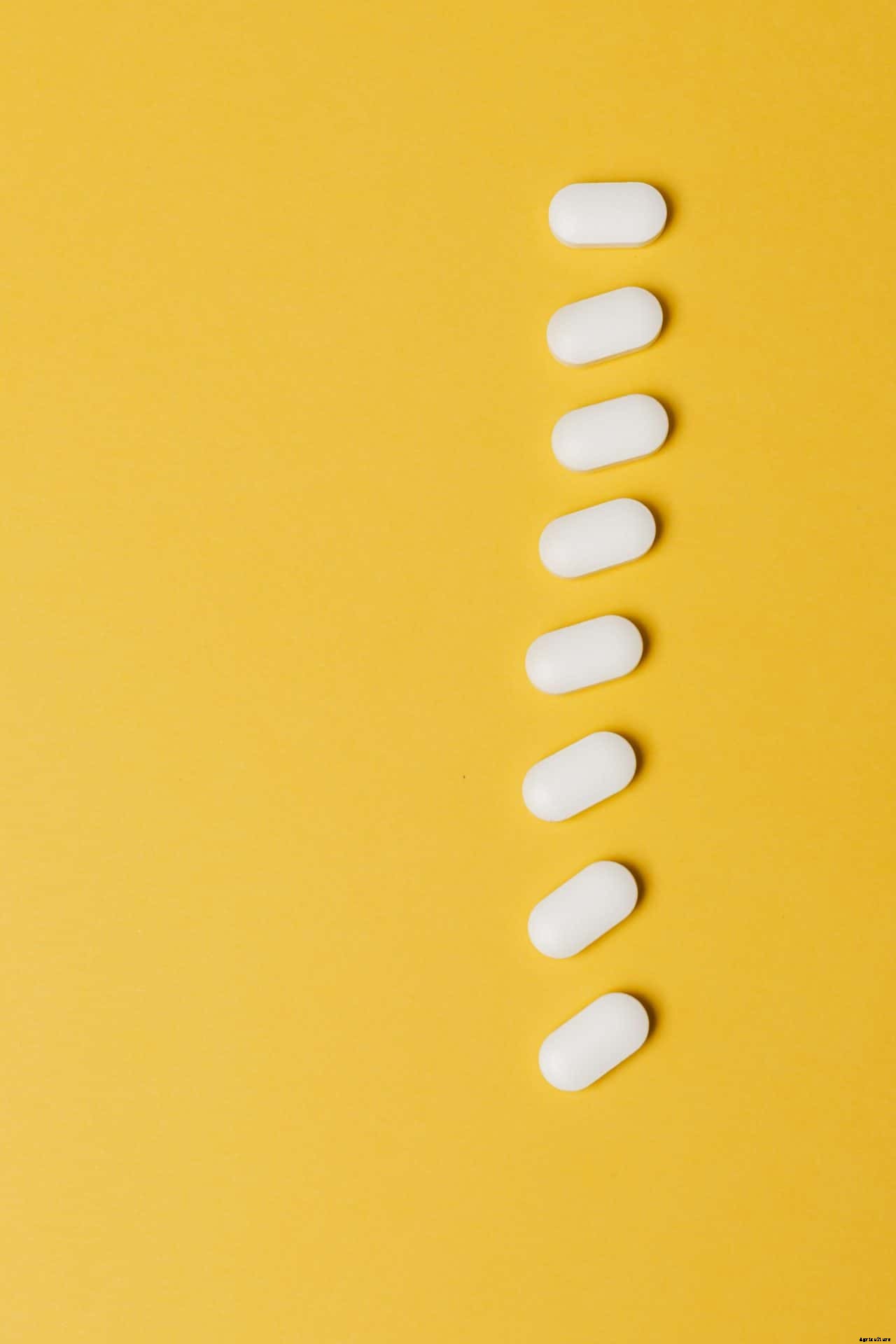 How not to medicate your animals