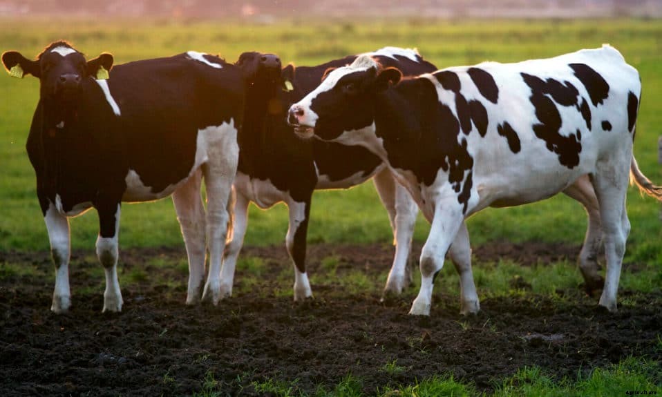 Clusters: The power of banding together