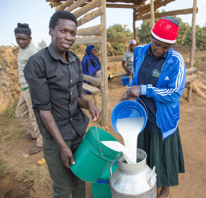 It’s time to bring back Kenya’s dairy sector