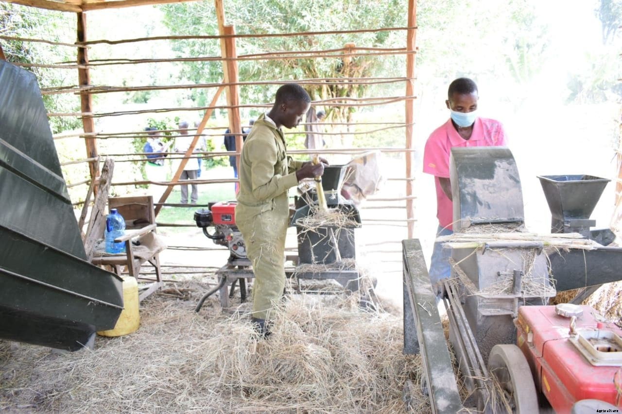On-farm-feed formulation reduces dairy farmers’ costs by 50 per cent