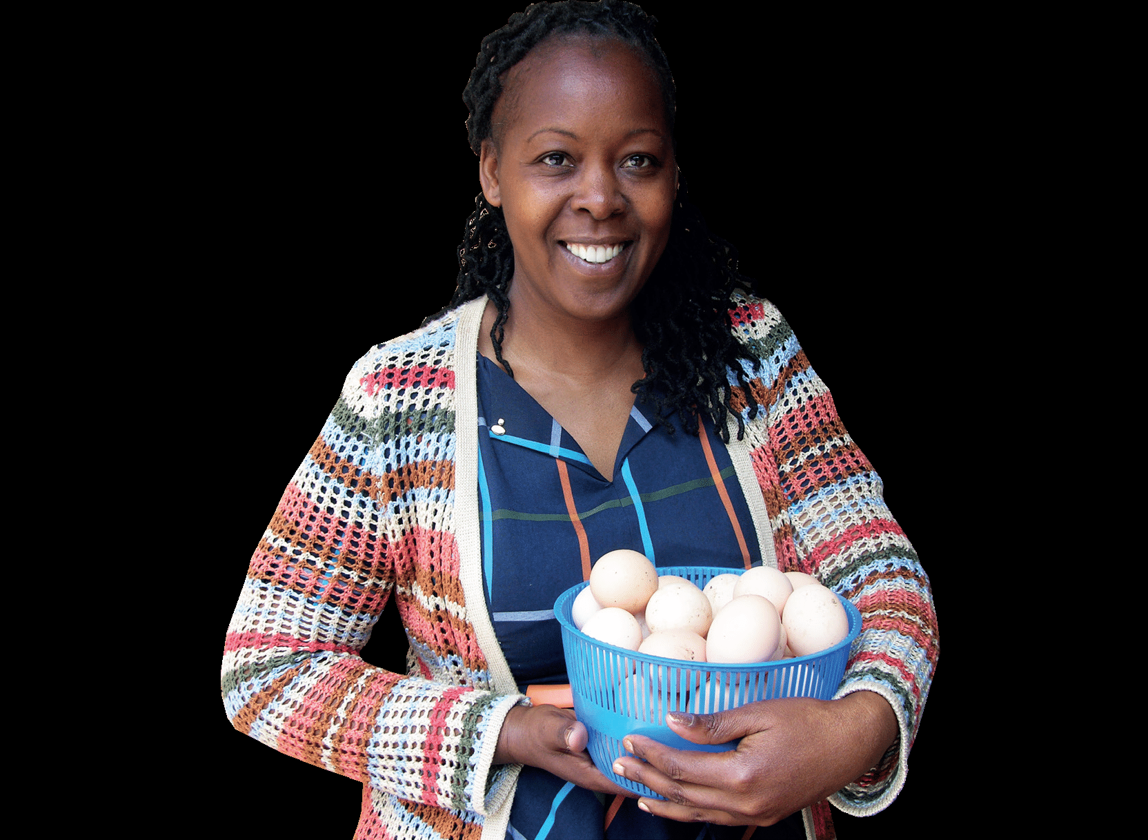 Kuroiler chicken farming