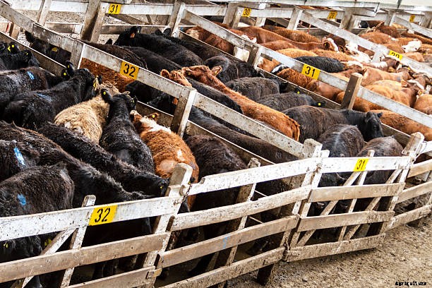 Chebararwa Farmers’ Training Centre to avail high grade livestock for breeding at affordable rates