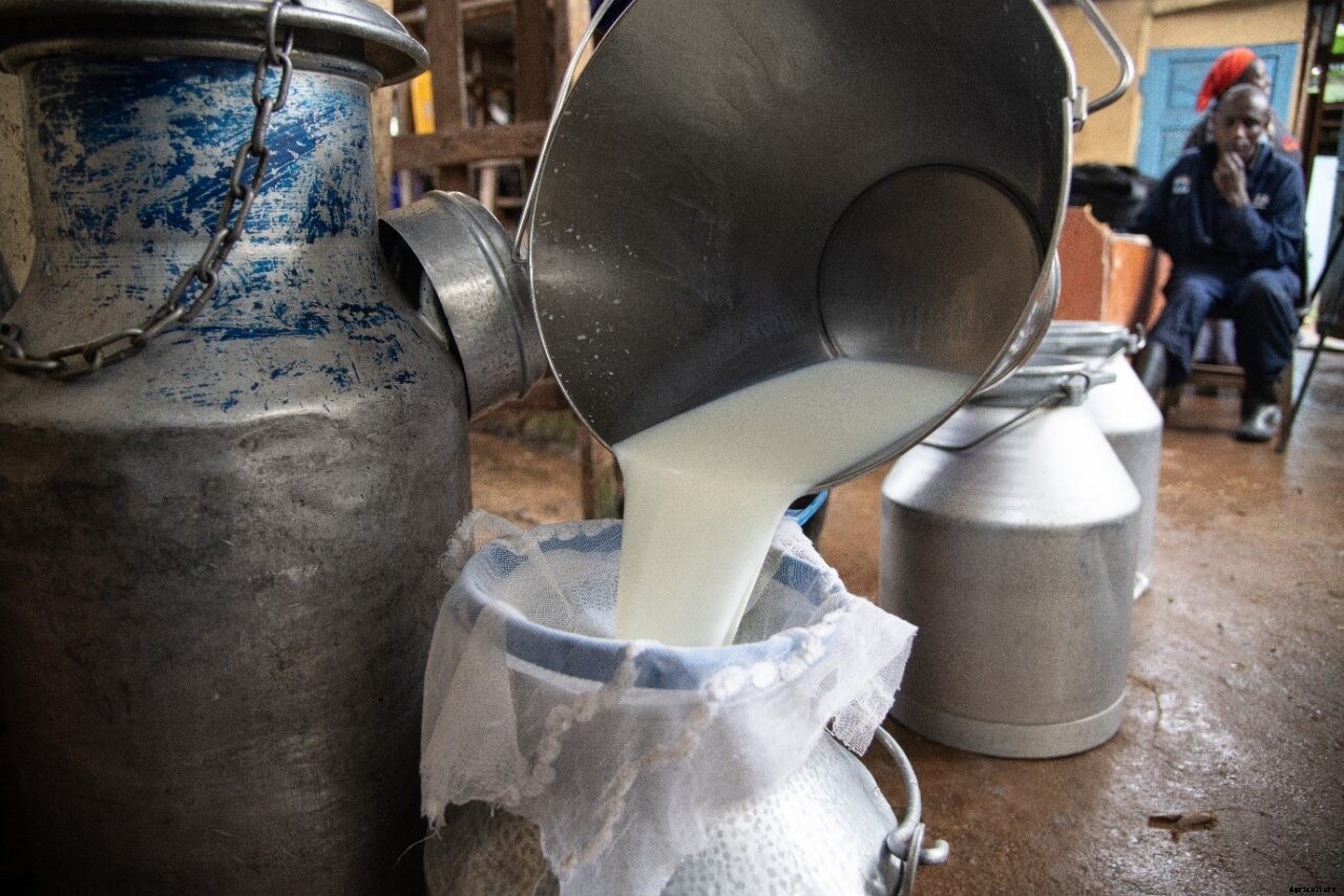 Cooperatives continue receiving low milk supply due to Covid-19 pandemic