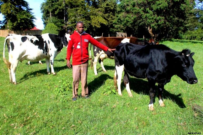 Improved practices boost milk production in Nakuru County