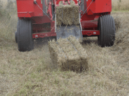 What you should never forget about hay bales