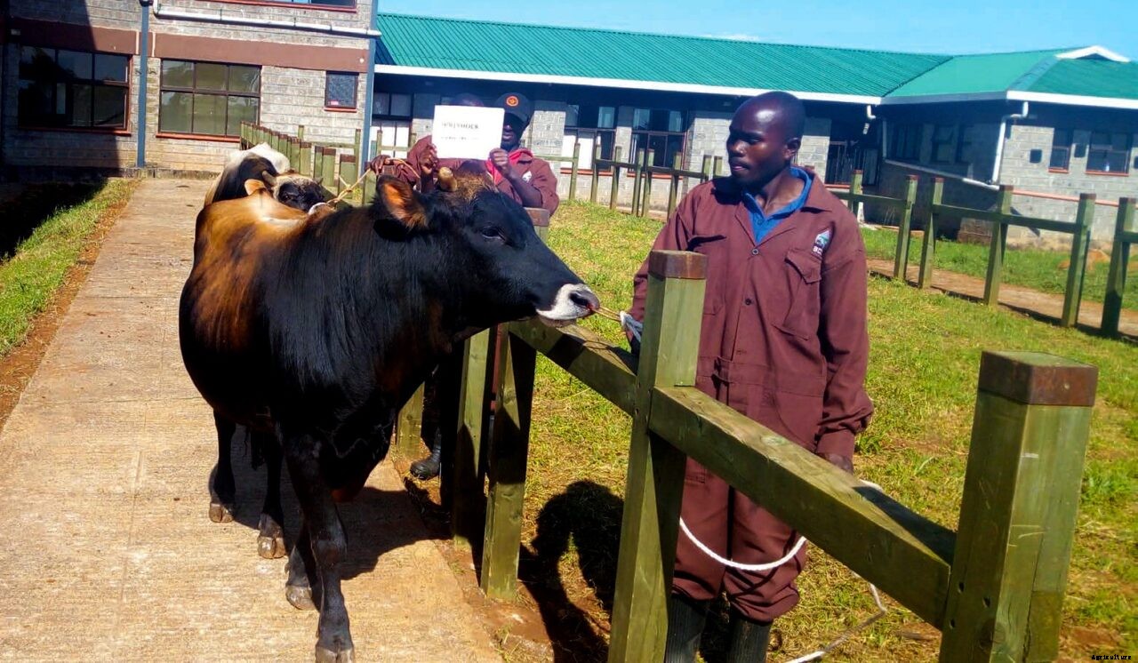 ADC – one stop for quality semen, animal feeds, seeds, and seedlings