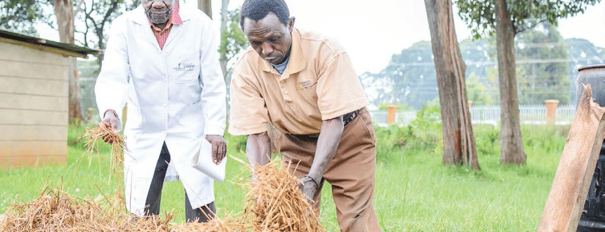 University takes bold steps into the future with mushroom growing