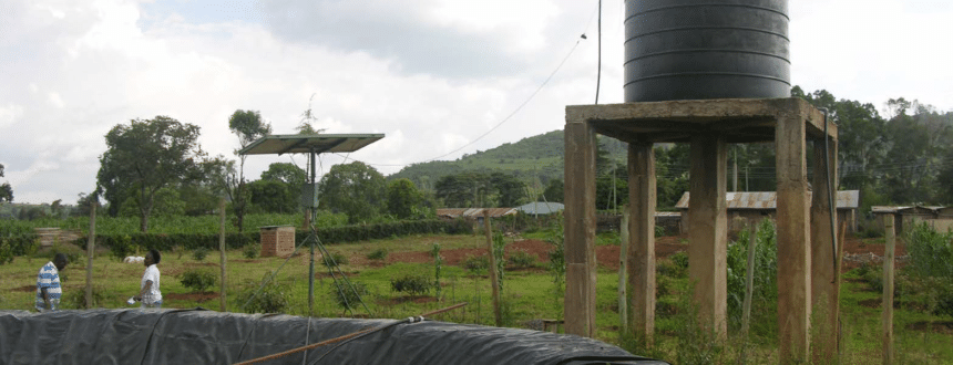 How to get avocado trees to fruit at 14 months