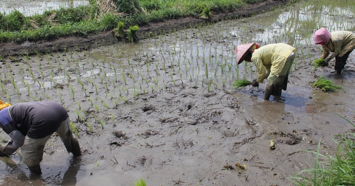 Can agriculture overcome its own water problems?