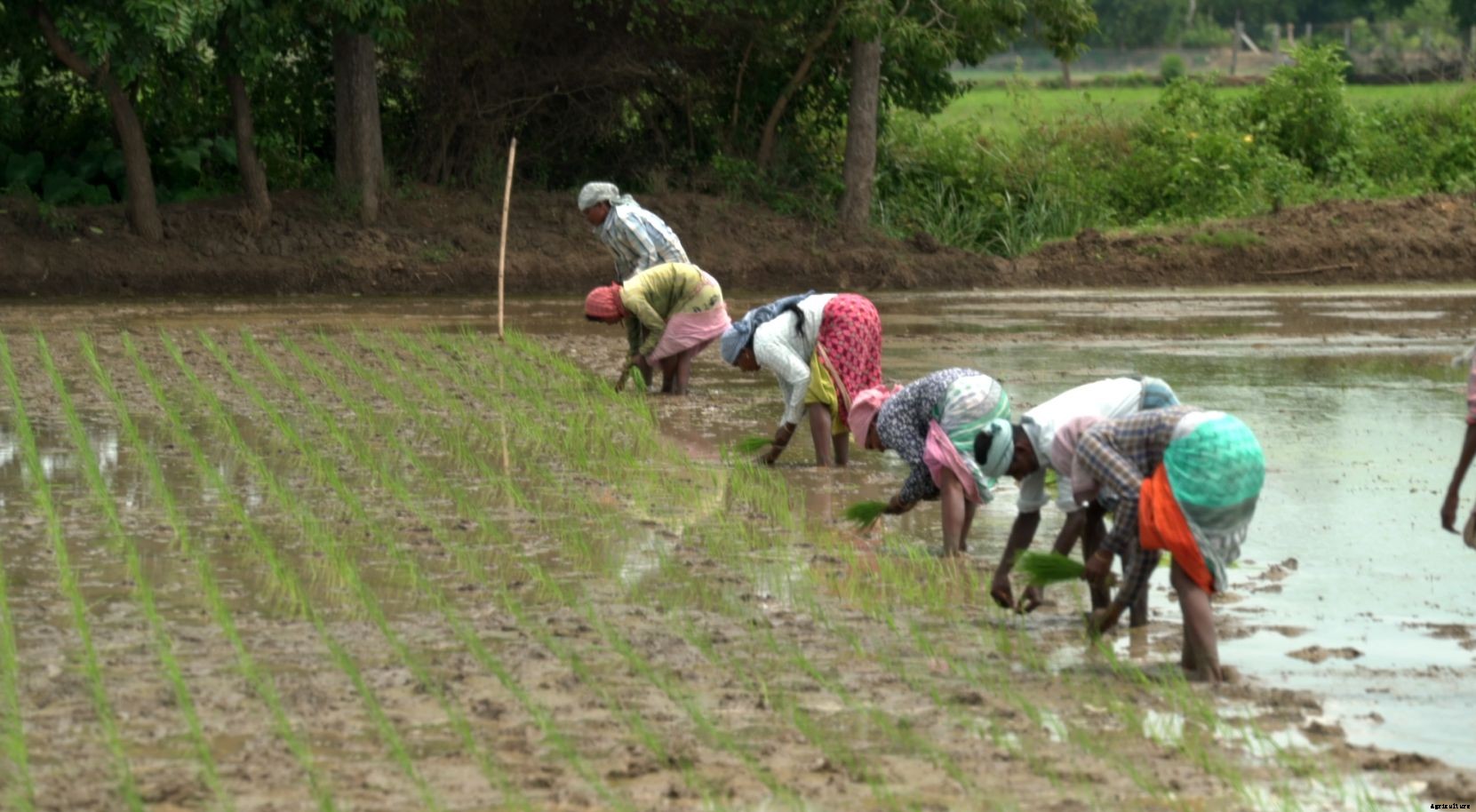 Can agriculture overcome its own water problems?