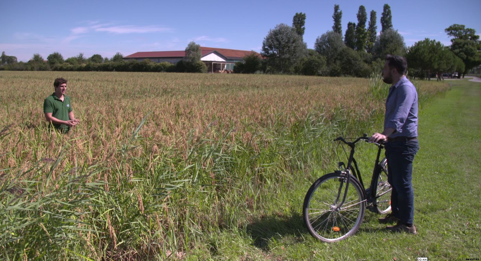 Can agriculture overcome its own water problems?