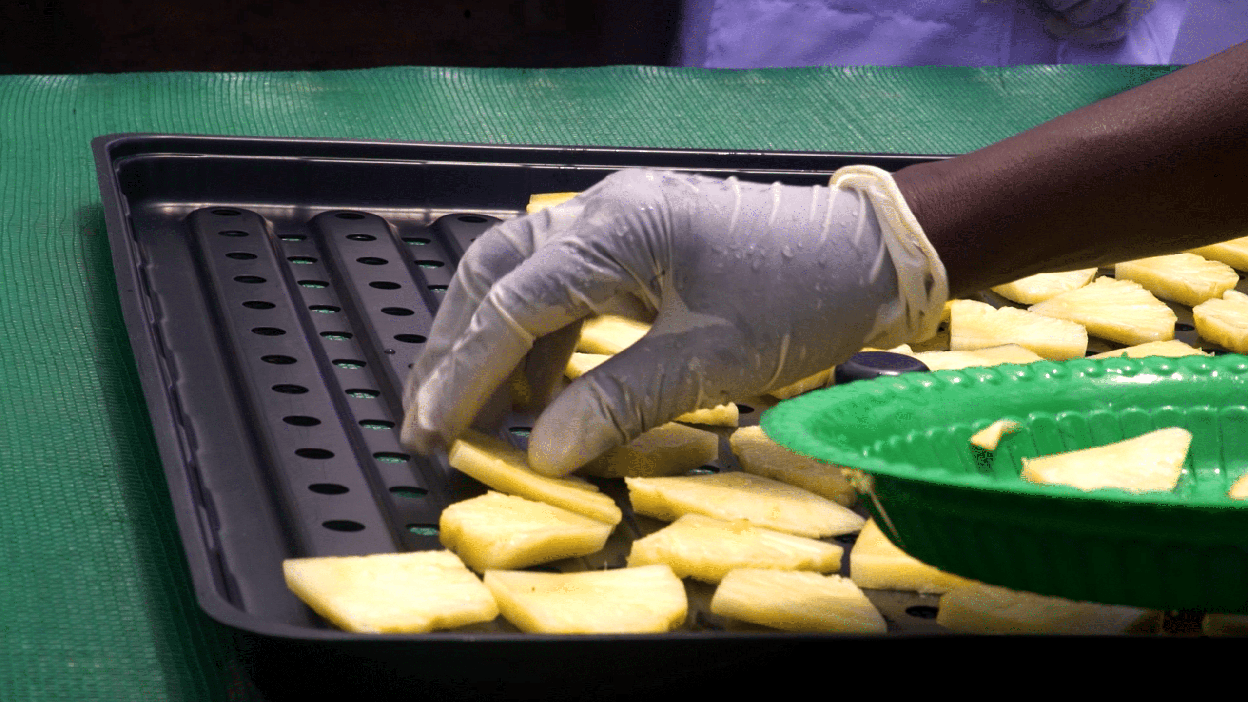 How to dry your fruits and where to sell them