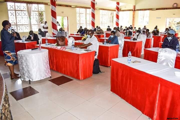 Country’s export vegetables gets a boost with new project in four counties