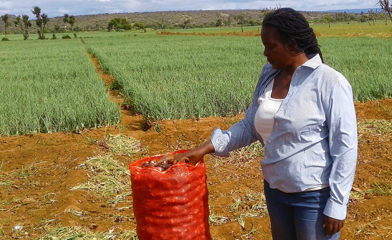 Why Tanzanian onions are preferred