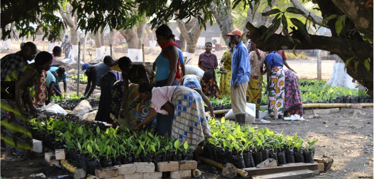 New technology to increase maize yields in western Kenya