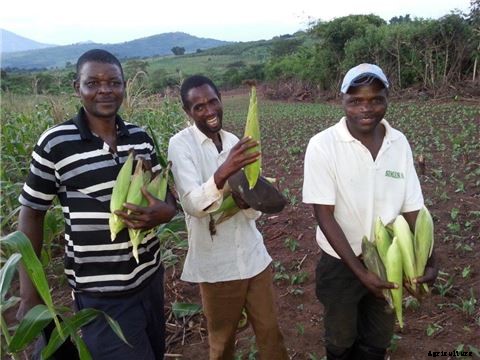 How Africa Soil Health experts have made more farmers smile than expected