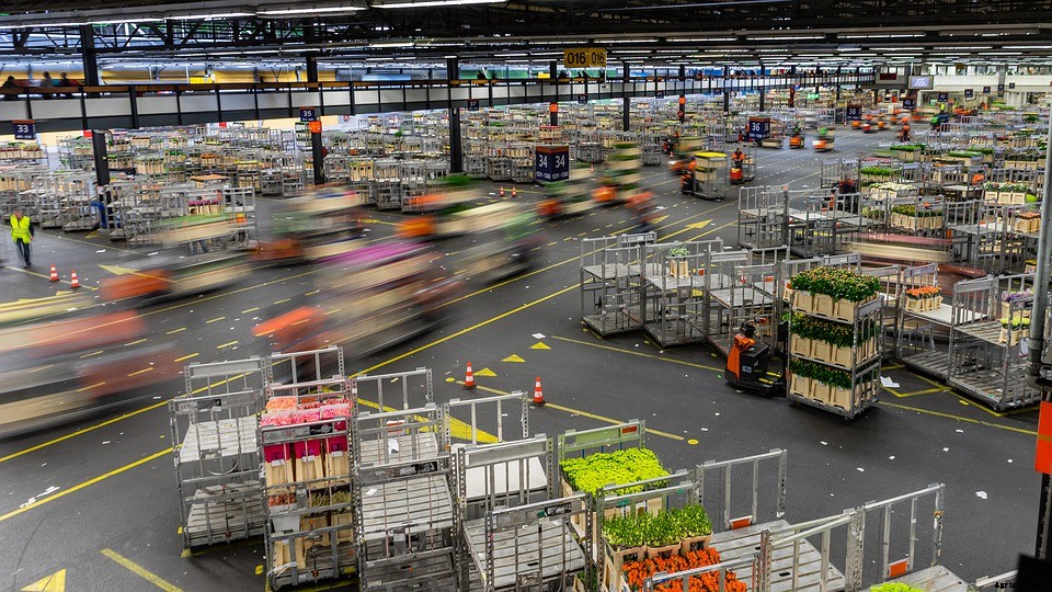 Good news for flower and horticulture sectors