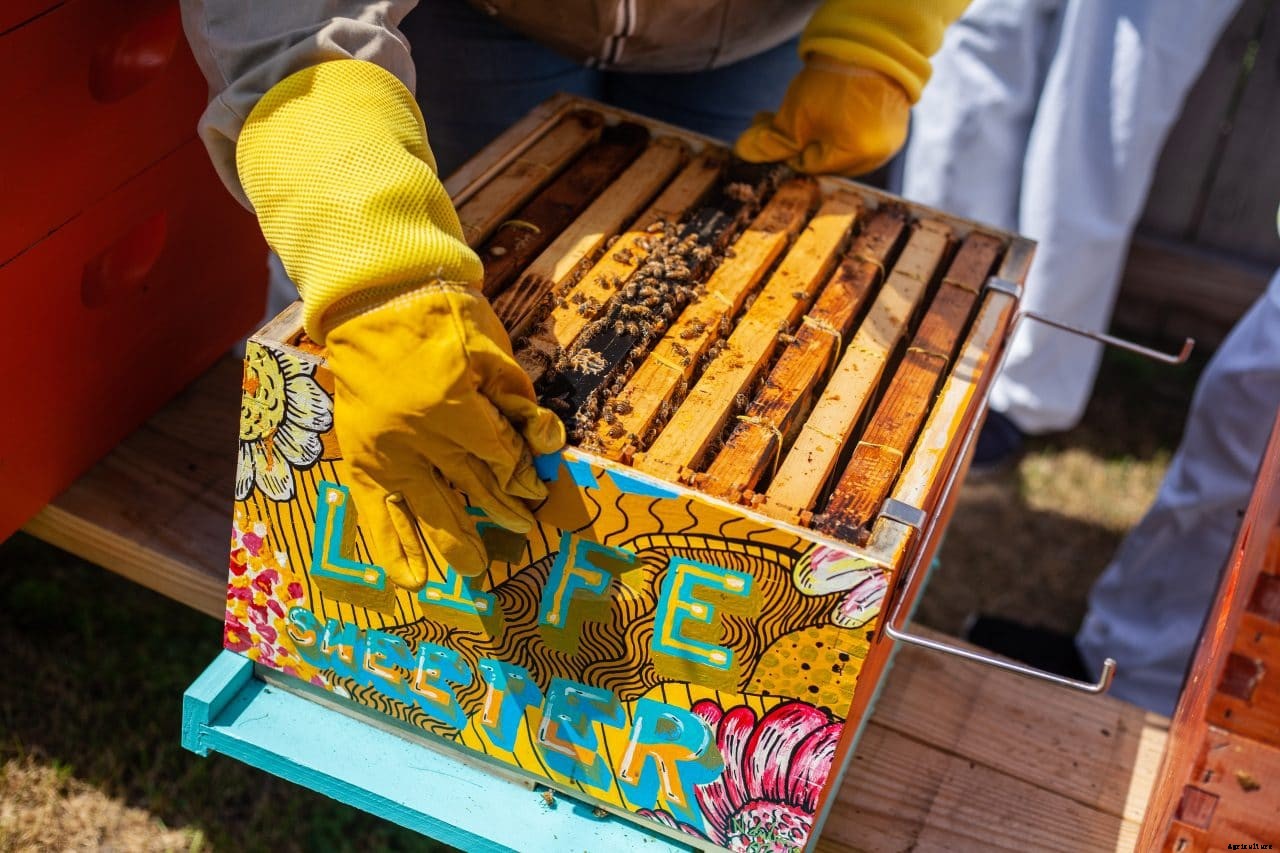 Women centered Beekeeping