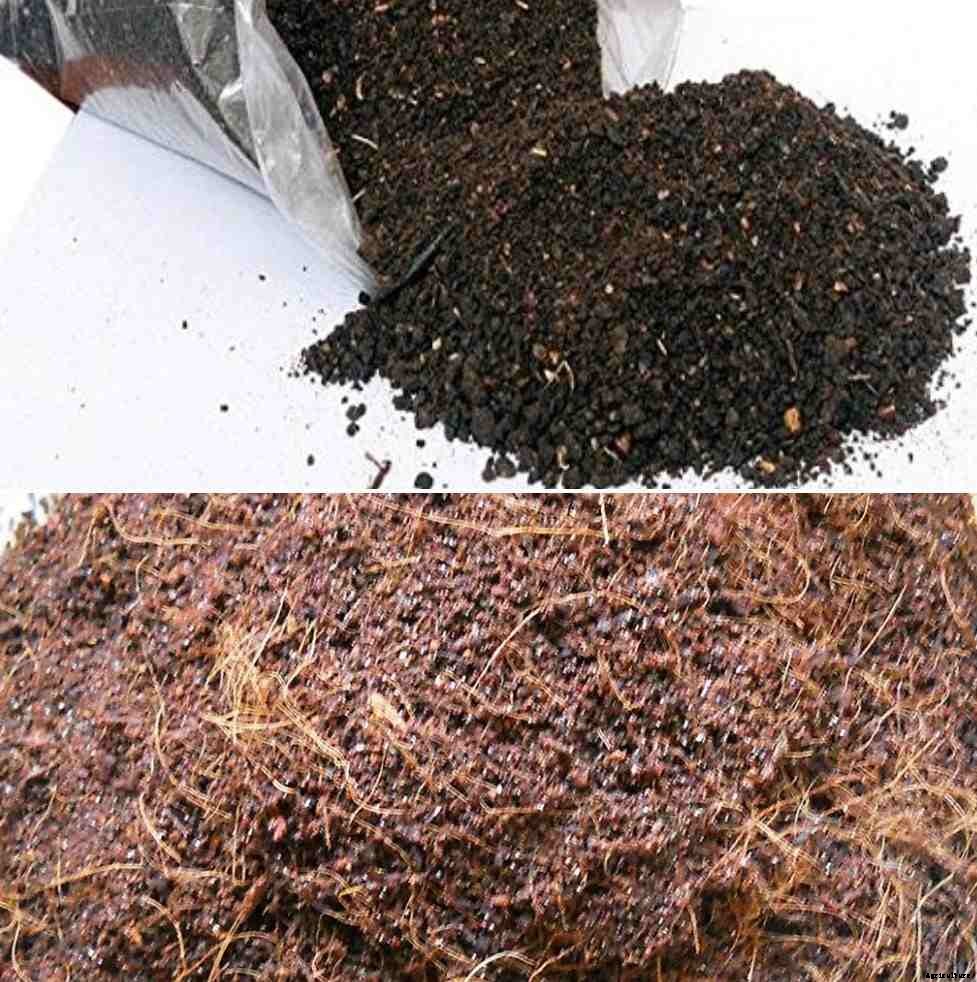 Best Fertilizers for Plants – A Full Guide