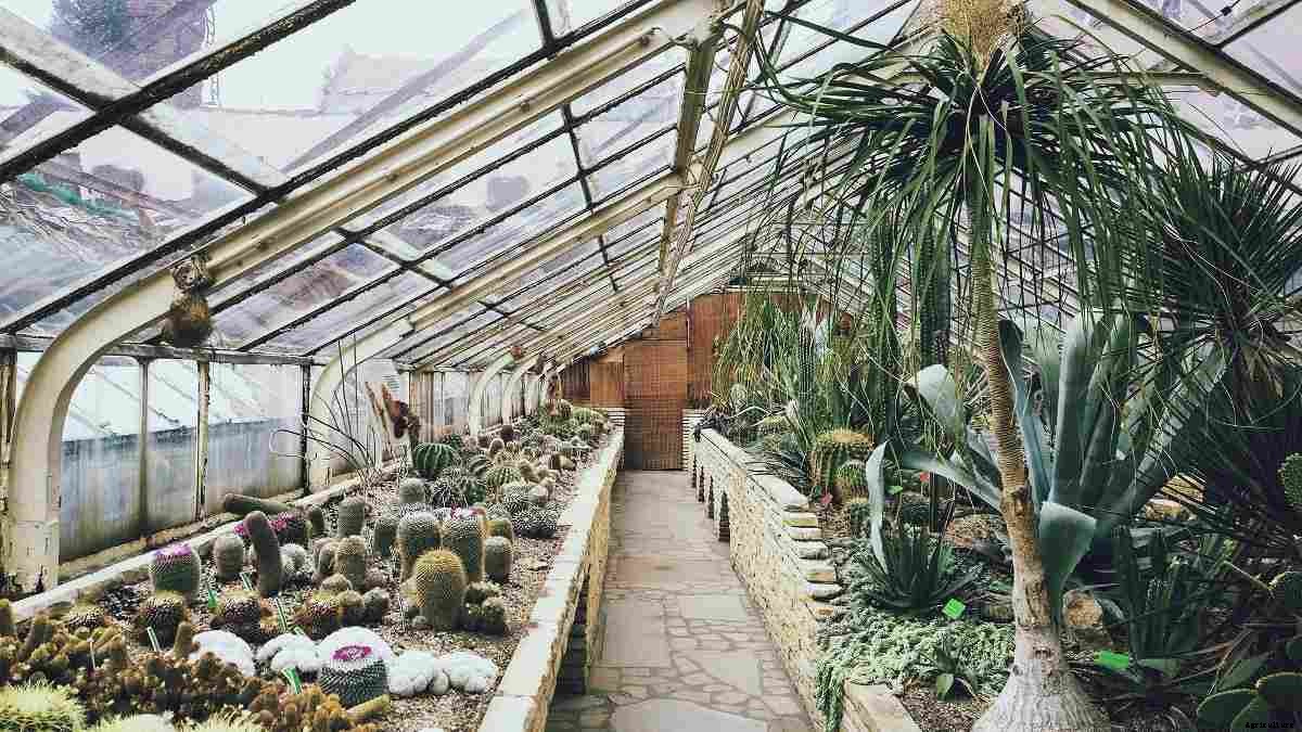 How to Build a Greenhouse on your Own