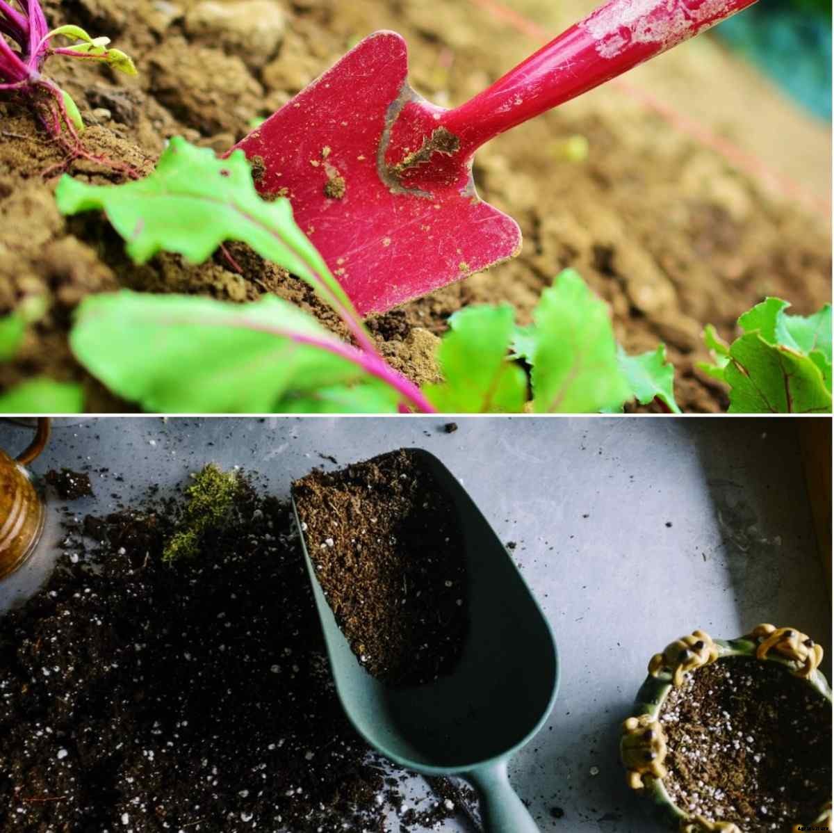 Preparing Soil for Vegetable Garden – A Full Guide