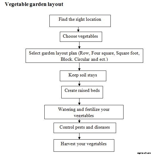 Vegetable Garden Layout, Design Principles, Ideas