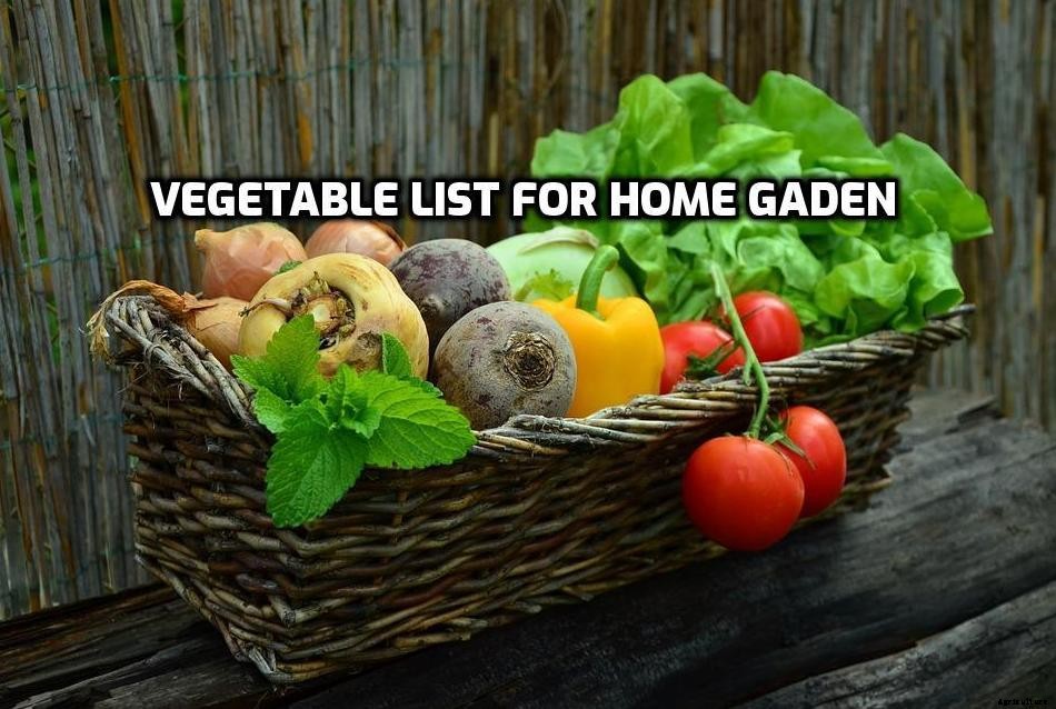 Garden Vegetable List – A Complete Guide