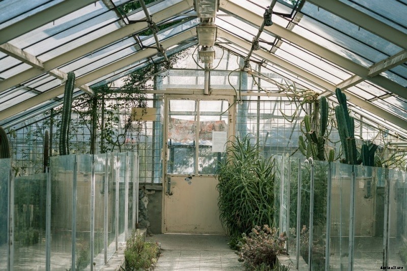 Types of Greenhouse in India, Greenhouse Material
