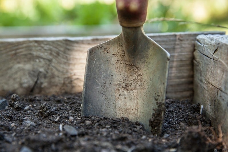Garden Seedbed Preparation for Home Gardening