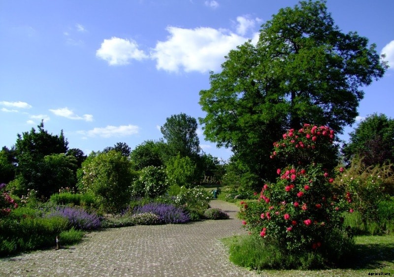 Botanical Gardening Techniques; Ideas; Tips