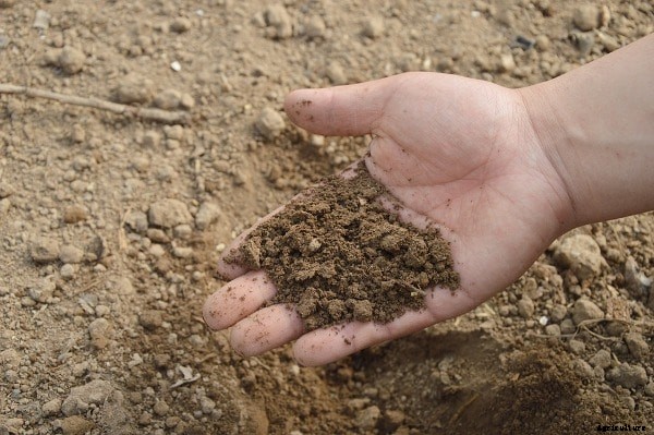 Gardening Soil Types, Role of Soil in Home Garden
