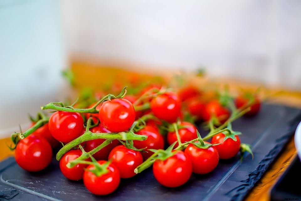Growing Cherry Tomatoes Hydroponically – a Ful Guide