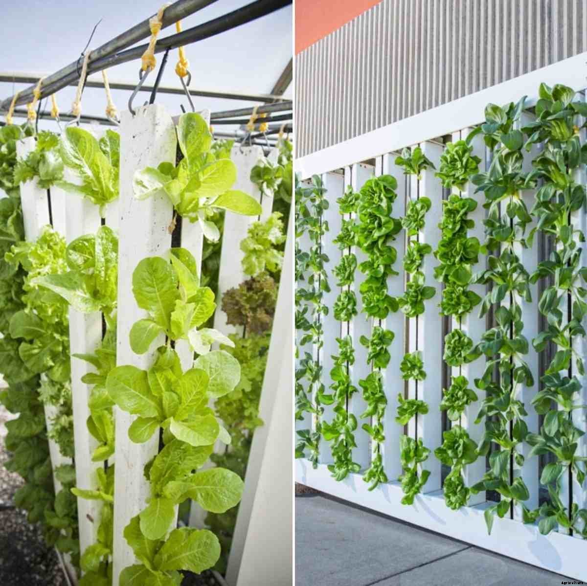 Vertical Hydroponic Gardening, Setup, Ideas, Advantages