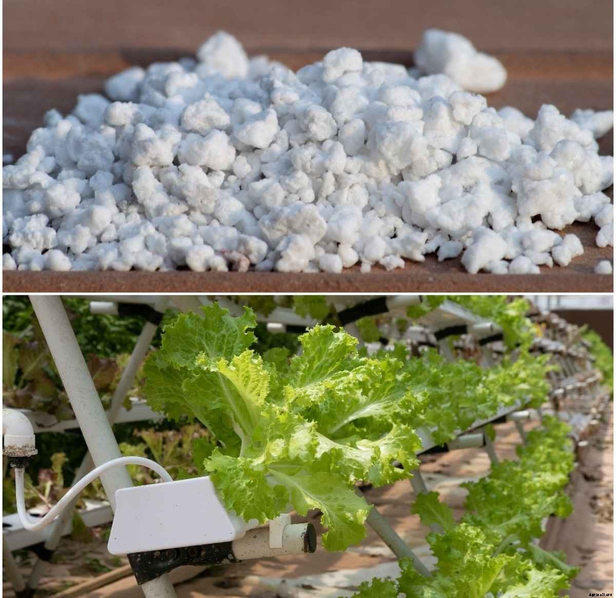 Hydroponics Perlite Growing Medium, Advantages