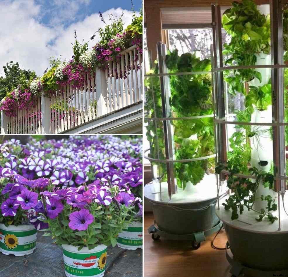 Balcony Vertical Garden Ideas, Techniques, Tips in India
